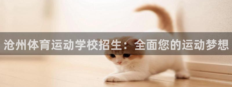 6t体育官网入口地址：沧州体育运动学校招生：全面您的运动梦想