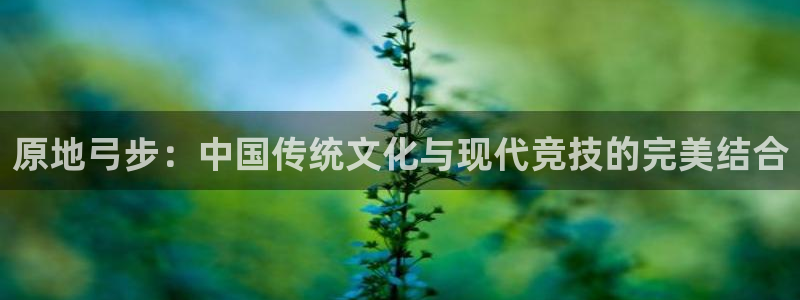 6T体育网页版入口：原地弓步：中国传统文化与现代竞技的完美结合