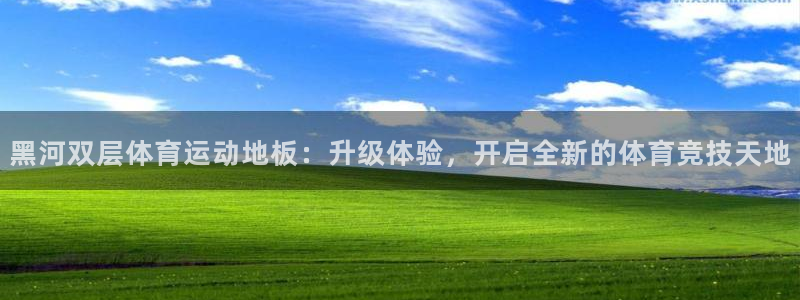 6t体育官方网站：黑河双层体育运动地板：升级体验，开启全新的体育竞技天地