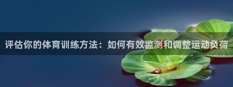 6t体育合法吗：评估你的体育训练方法：如何有效监测和调整运动负荷