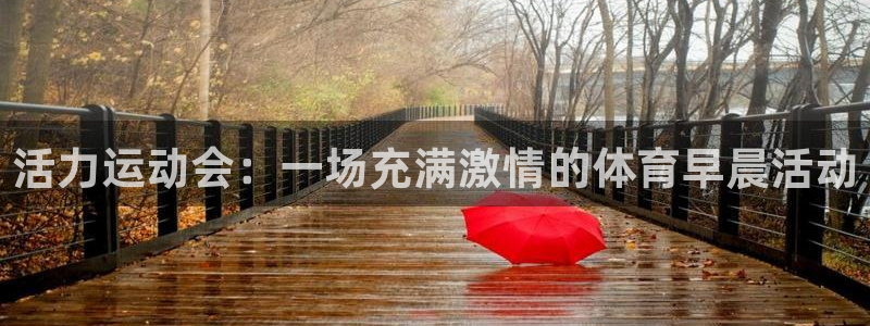 6T体育官方：活力运动会：一场充满激情的体育早晨活动