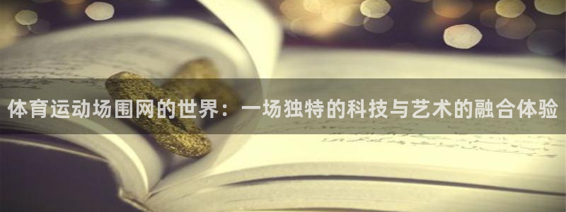 6t体育官网：体育运动场围网的世界：一场独特的科技与艺术的融合体验