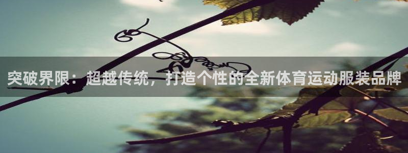 6t体育sports：突破界限：超越传统，打造个性的全新体育运动服装品牌